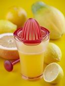 Соковыжималка ручная, Kinto 