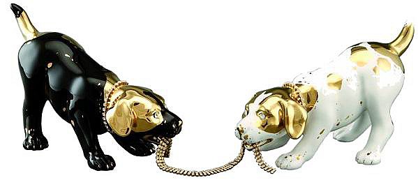 Пополнение коллекции Ahura