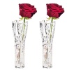 Набор из 2-х хрустальных ваз для цветов Розы, 20,5 см, Marc Aurel