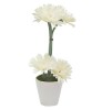 Декоративные цветы в вазе Герберы белые, 14х14х36 см. Dream Garden