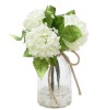 Декоративные цветы в вазе Гортензии белые, 13х13х20 см. Dream Garden