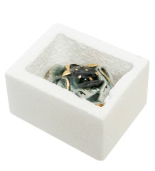 VS-405 Фигурка "Трёхлапая жаба"