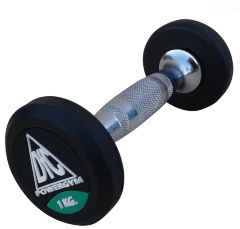 Гантели пара 1 кг. DFC POWERGYM DB002-1