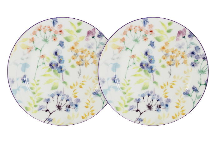 Набор из 2-х закусочных тарелок Акварель Primavera, 20,5 см.