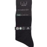 Носки мужские Dominant ASUM-0020 40-42 черный (Artsocks)
