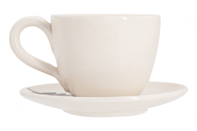 Чашка с блюдцем Tutti Frutti, 0,4 л. Home & Style