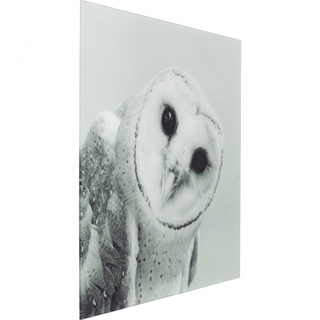 Картина Owl, Полипропилен, Стекло, Серый