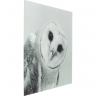 Картина Owl, Полипропилен, Стекло, Серый