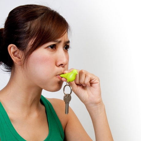 Держатель+брелок для ключей двойной Sparrow, белый/красный, Qualy