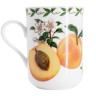 Кружка Абрикос в подарочной упаковке, 0.3 л. Maxwell & Williams