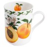 Кружка Абрикос в подарочной упаковке, 0.3 л. Maxwell & Williams