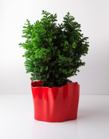 Органайзер Flow средний, красный, Qualy