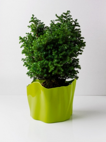 Органайзер Flow средний зеленый