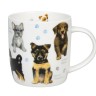 Кружка "Разнообразие природы" - Щенки, 400 мл. Koenitz