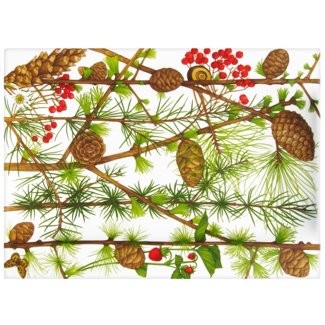 Блюдо сервировочное прямоугольное MONTAGNA, 40х29 см. Taitu