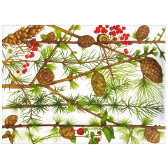 Блюдо сервировочное прямоугольное MONTAGNA, 40х29 см. Taitu