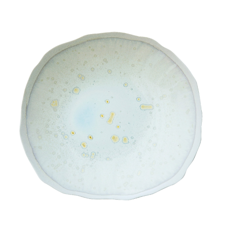 Обеденная тарелка, 26 см. цвет белый перламутр, PLUME Jars