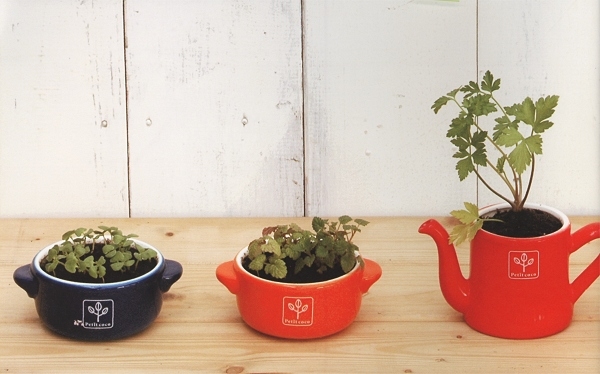 Набор для выращивания мяты и базилика Petit-coco Кастрюлька синяя