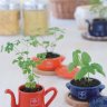 Набор для выращивания мяты и базилика Petit-coco Кастрюлька синяя