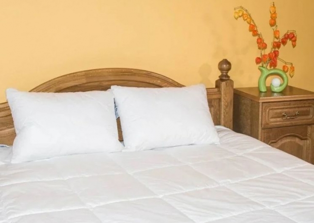 Одеяло всесезонное "Благородный кашемир", 140х205, в чехле из белоснежного хлопка с пухом кашмирских коз, Natures