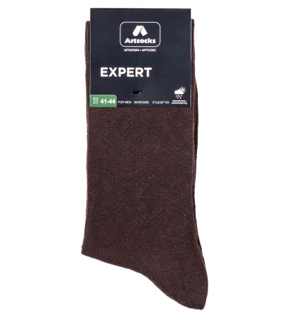 Носки мужские Expert ASM-0004  41-44 коричневый (Artsocks)