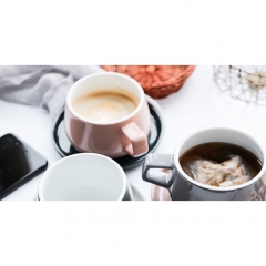 Чайная чашка с блюдцем Ella™ 250 мл. серый Viva Scandinavia