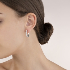 Серьги Crystal-Silver 0139/21-1817 Coeur de Lion