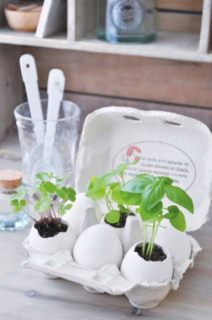 Набор для выращивания Eggling кайенский перец