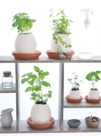 Набор для выращивания Eggling кайенский перец