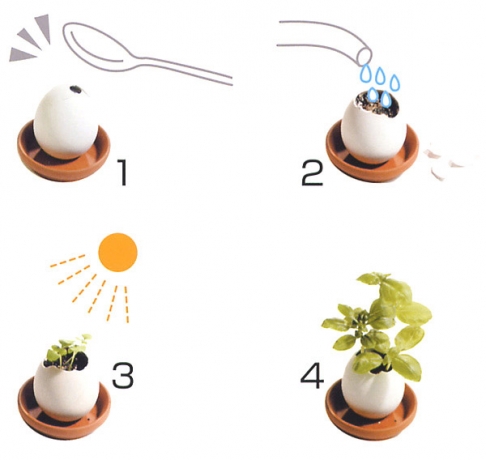 Набор для выращивания Eggling кайенский перец