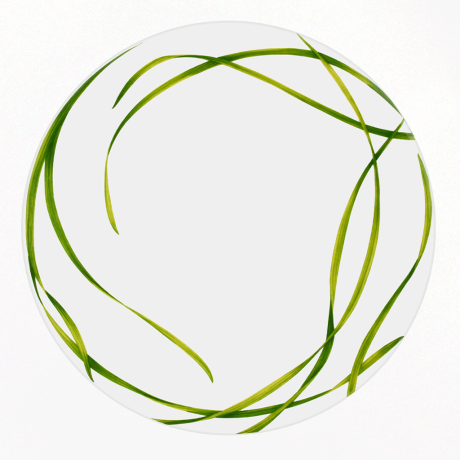 Тарелка обеденная, 28 см. LIFE IN GREEN Taitu