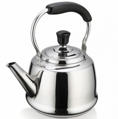 Чайник, 2,5 л. Claudette Beka