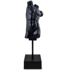 BMB- 81/2 Фигура "Торс"