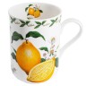Кружка Лимон в подарочной упаковке, 0.3л. Maxwell & Williams