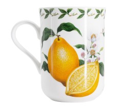 Кружка Лимон в подарочной упаковке, 0.3л. Maxwell &amp; Williams