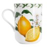 Кружка Лимон в подарочной упаковке, 0.3л. Maxwell & Williams