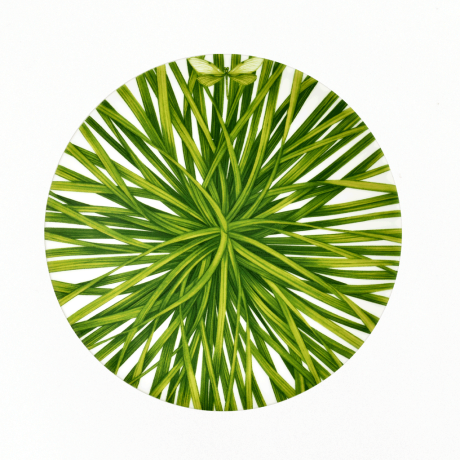 Тарелка десертная, 21,5 см. LIFE IN GREEN Taitu