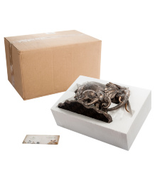 WS-772 Статуэтка "Слон с детенышем"