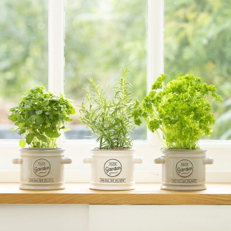 Емкость для хранения малая Pride Of Place Grey T&G