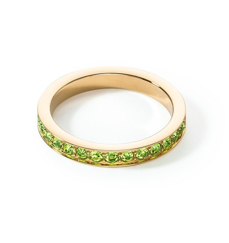 Зеленое кольцо игра