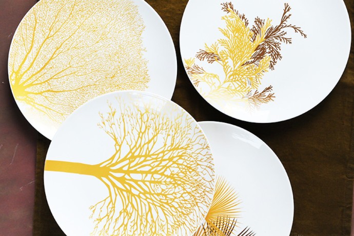 Набор тарелок Singapore, белый, 21x21 см. 4 шт. WD Lifestyle