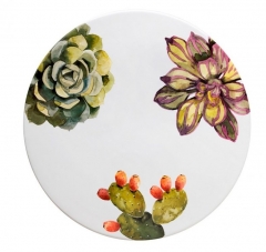 Тортовница, 35 см. Cactus Nuova Cer