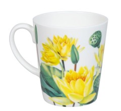 Кружка "Дальневосточный лотос", 600 мл. в подарочной коробке Koenitz