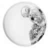 Тарелка Коала, 20 см. Maxwell & Williams