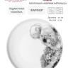 Тарелка Коала, 20 см. Maxwell & Williams
