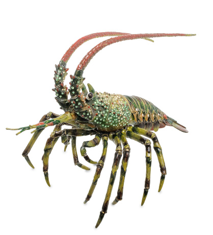 JB- 54 Шкатулка "Лобстер" большой