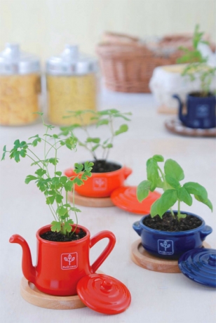 Набор для выращивания мяты и петрушки Petit-coco Чайничек красный