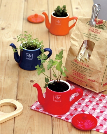 Набор для выращивания мяты и петрушки Petit-coco Чайничек красный