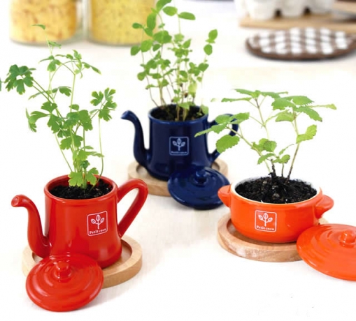 Набор для выращивания мяты и петрушки Petit-coco Чайничек красный