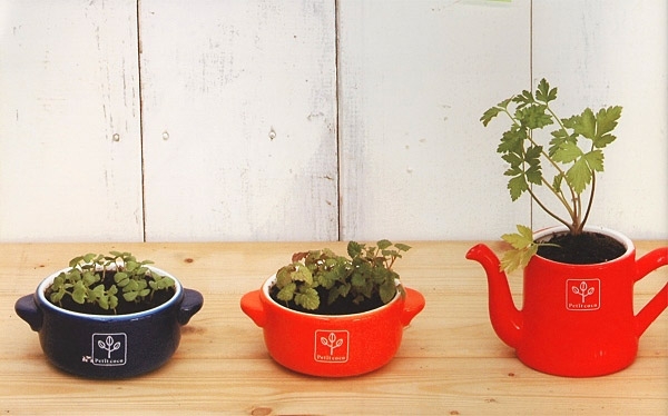 Набор для выращивания мяты и петрушки Petit-coco Чайничек красный